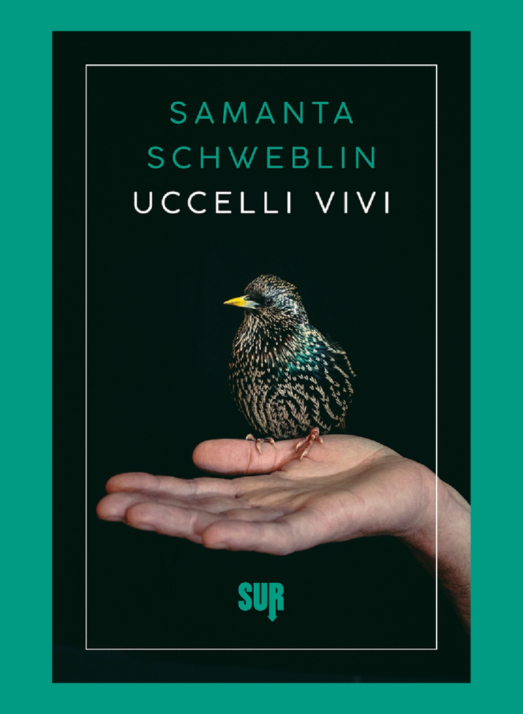 Uccelli vivi