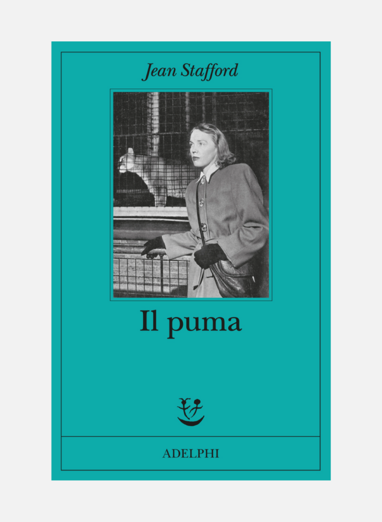 Il puma